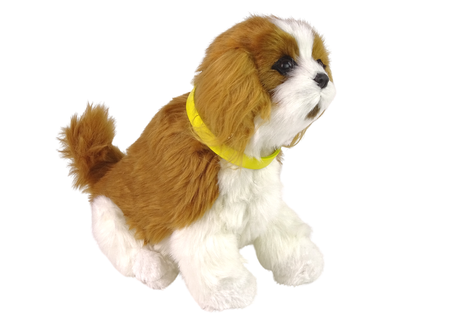 Interactive Plush Dog Soft fur Cavalier breed Stroke its head and learn its functions